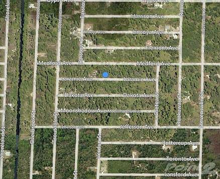 402206255020 bing