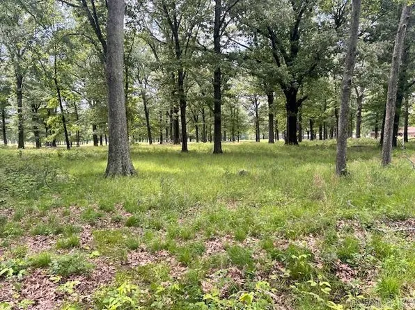 (undisclosed Address), De Witt, AR 72042