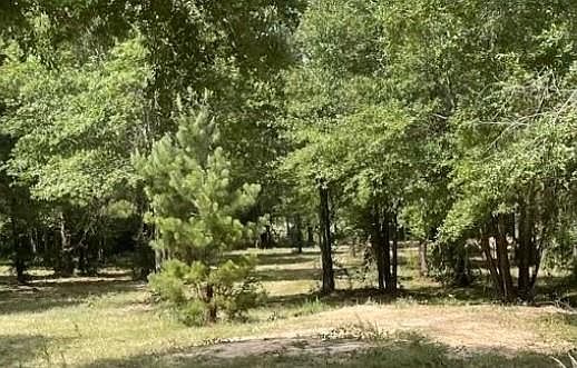5th image of 502 County Road 3408