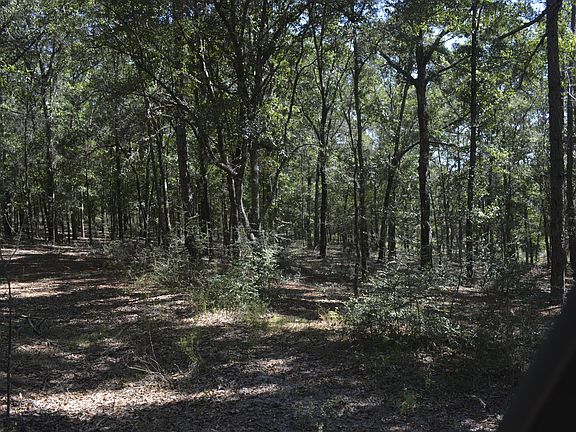 5th image of Aplin 32 Ac Rd