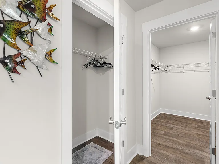 Primary closet 2