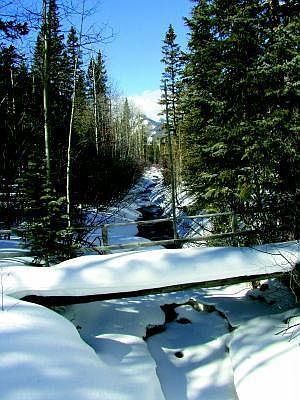 5th image of 1975 Forest Service 630 Rd