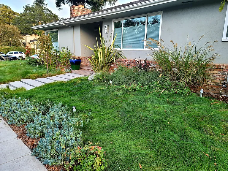 Side Yard