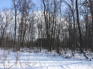 Scio Church Rd, Chelsea, MI 48118