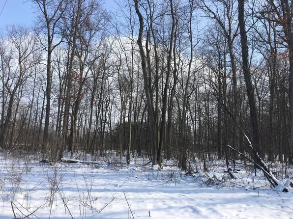 Scio Church Rd, Chelsea, MI 48118