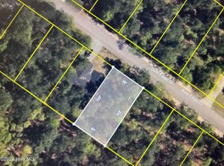 727 Bald Eagle Dr, Vass, NC 28394
