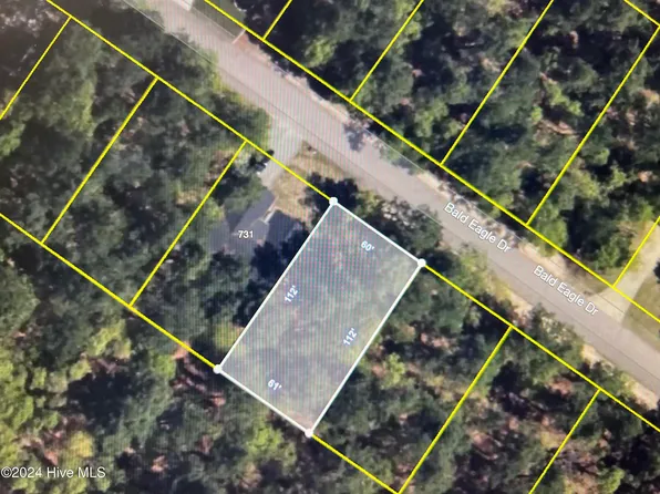 727 Bald Eagle Drive, Vass, NC 28394