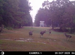 Powell Chapel Rd, Holly Springs, MS 38635