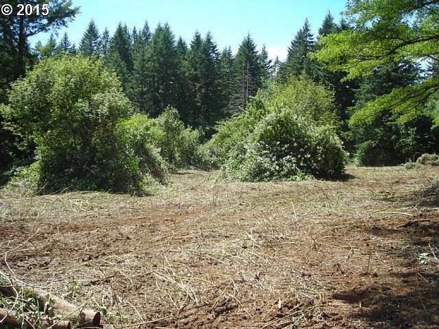 1st image of 0 NE 207th Ave