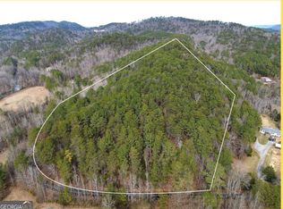 0 Manning Mill Rd, Summerville, GA 30747