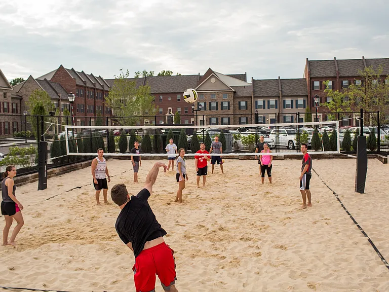The Goat Volleyball League
