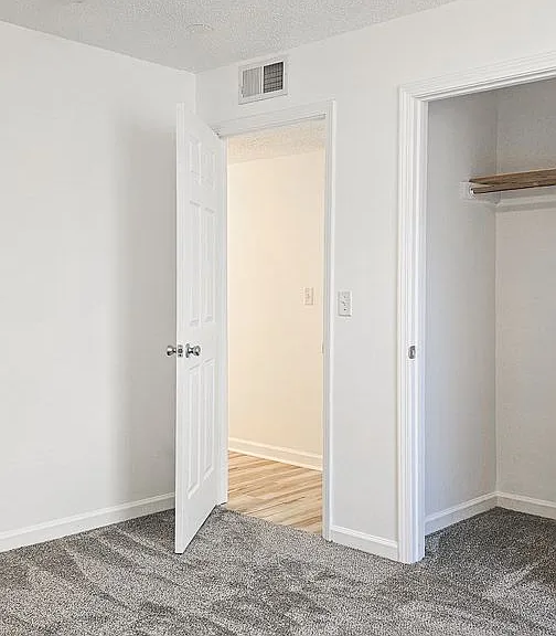 Beautifully updated 4 Bedroom/2 Bathroom downstairs apartment — Photo 20