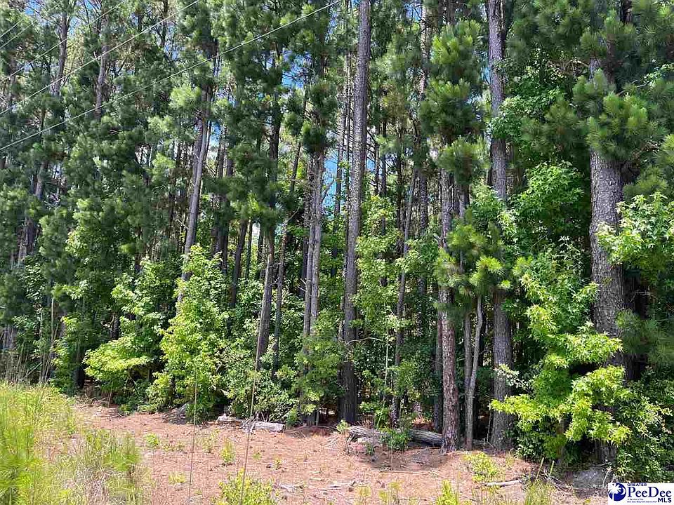 2nd image of 804 Floyds Rd Lot 1