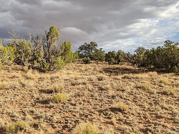 2nd image of LOT 193 Woodland Valley Ranch St