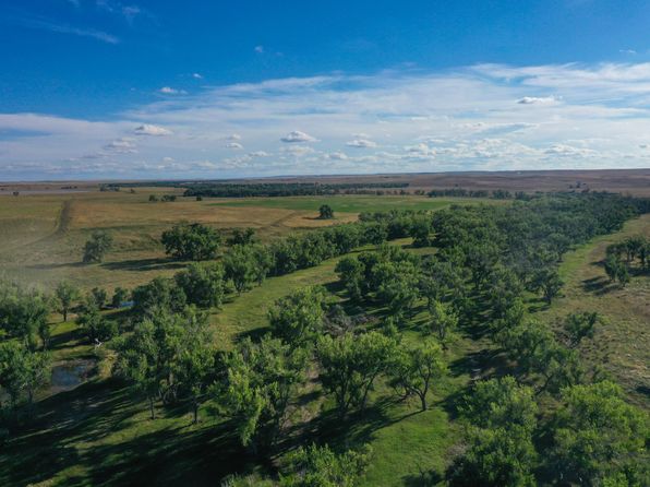 County Road 170, Agate, CO 80101