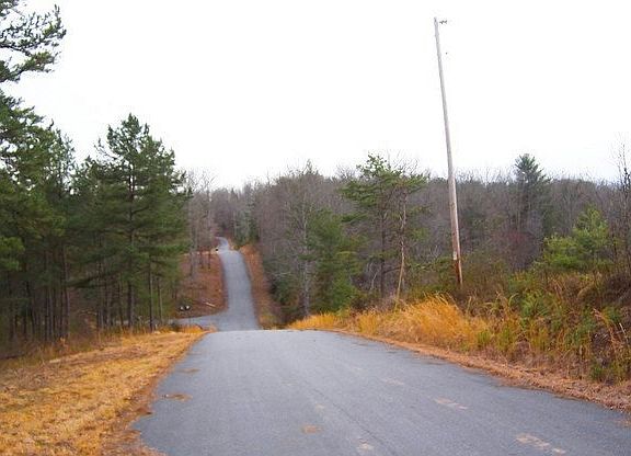 4th image of LOT 10 Brasstown