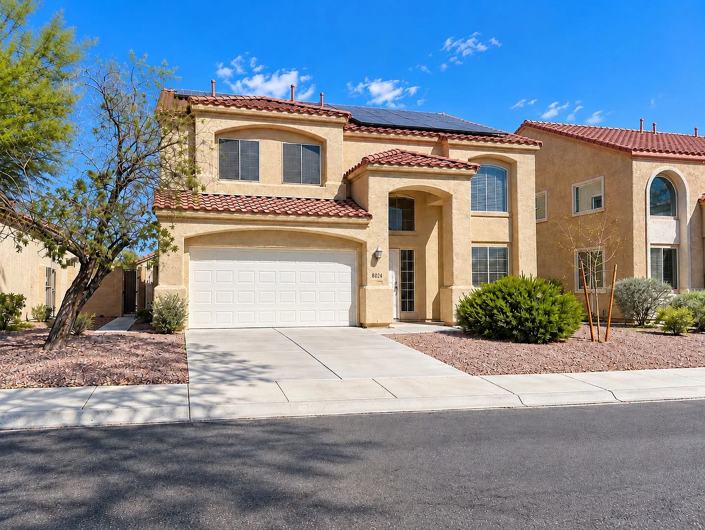 Tamarisk — Photo 2