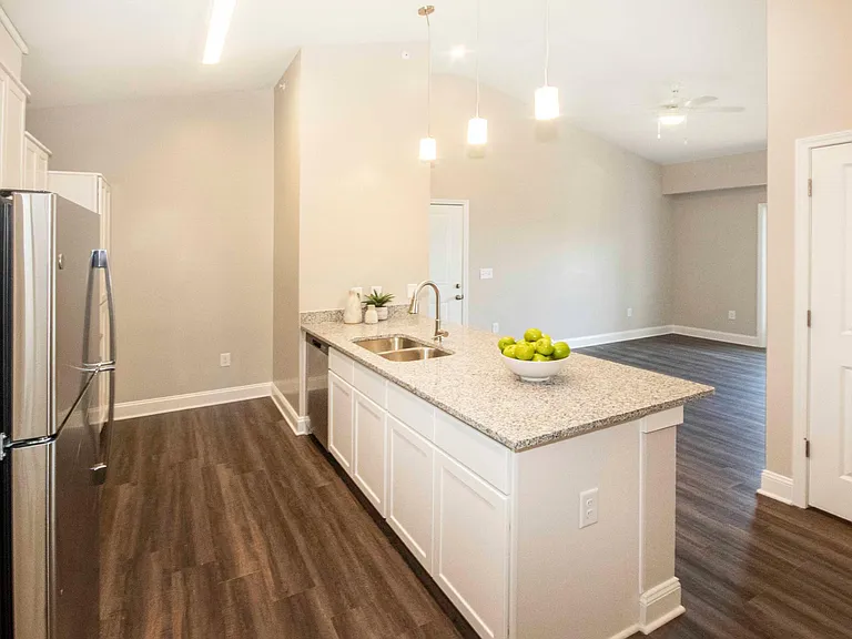 Farragut Pointe — Photo 12