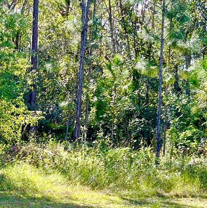 2nd image of 1011 INDIAN LAKE DRIVE LOT 7