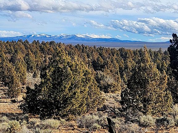 5th image of Merrill Rd #1800