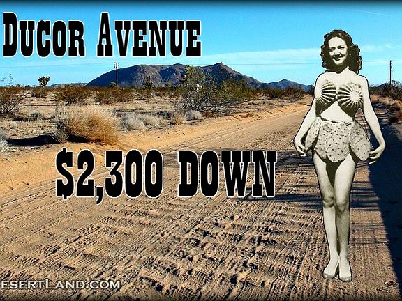 5th image of Ducor Avenue
