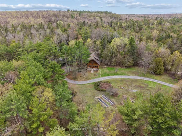 197 Hillside Dr, Kawartha Lakes, ON K0M 2C0