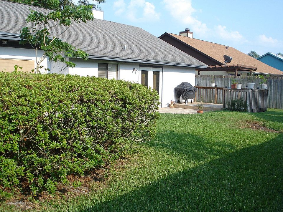 backyard 2