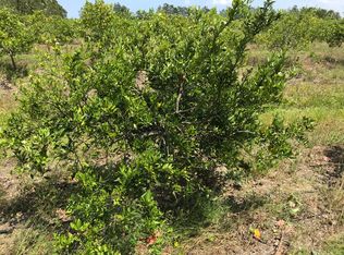 Carlton Adams Rd, Fort Pierce, FL 34945