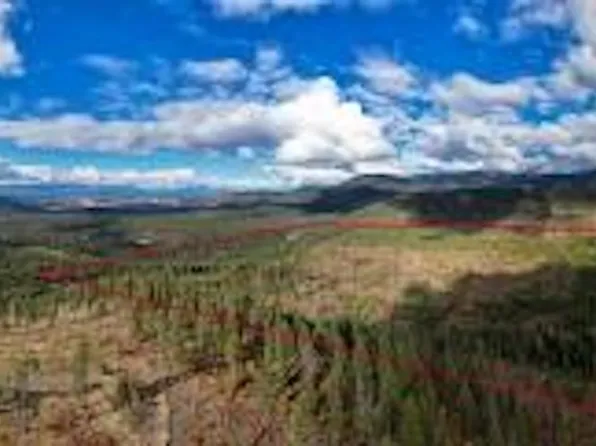 LOT-468X Grouse Creek Rd #F, Chewelah, WA 99109