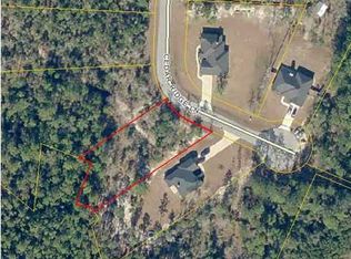10805 Cedar Ridge Ln, Southport, FL 32409