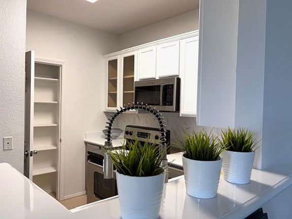 4th image of 3820 Elijah Ct
