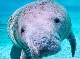 4401 N Suncoast Blvd #22, Crystal River, FL 34428