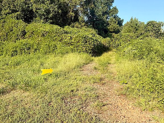 2nd image of 0 Mountain Top Rd