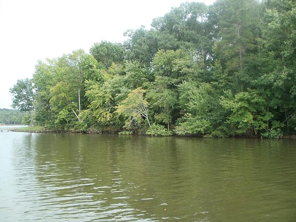 2nd image of 0 County Road 2421