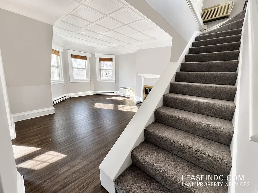1 bed, 800 sqft, $2,900 — Photo 2