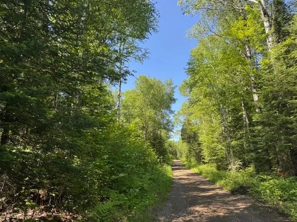 305 Irish Creek Rd, Hovland, MN 55606