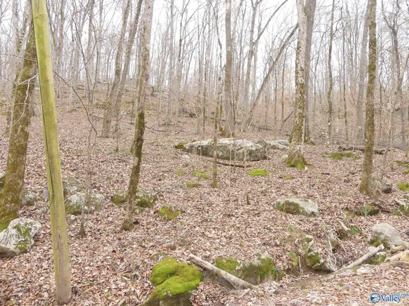 Moss Dr, Grant, AL 35747