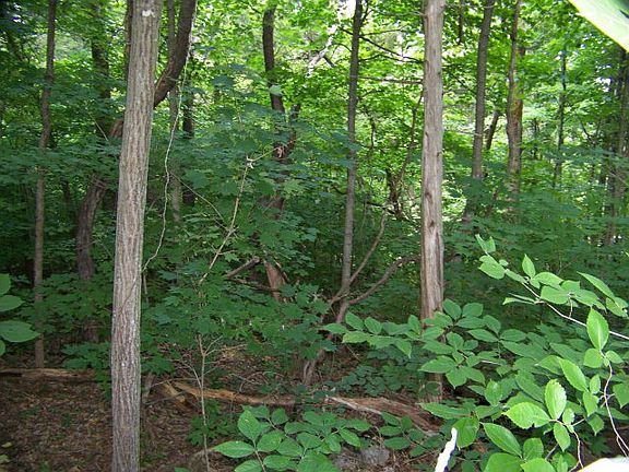 more pics. to follow