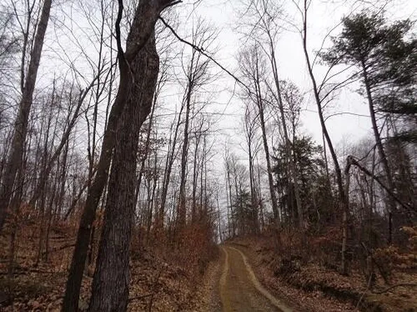0 Bush Rd, Mahaffey, PA 15757