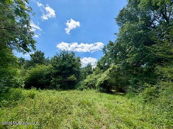 2nd image of Vaniel Holmes Rd