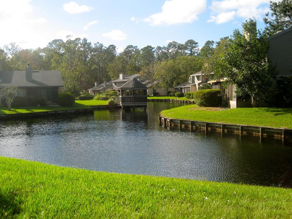 View from the patio