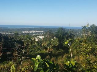 Carr 966 Km 2.3 Bo Zarzal, Rio Grande, PR 00745