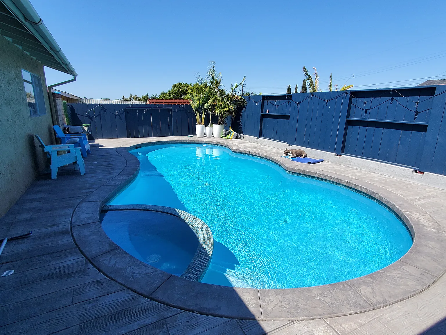 2 bed, 1000 sqft, $3,100 — Photo 2