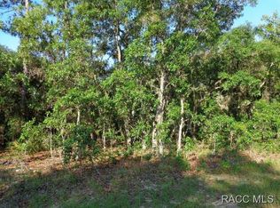 13 Black Willow St, Homosassa, FL 34446