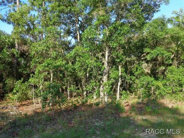 13 Black Willow St, Homosassa, FL 34446