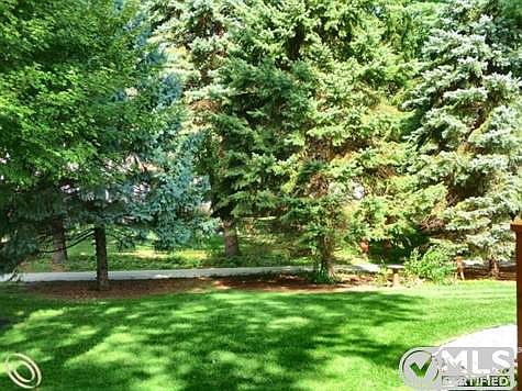 Lovely Private Yard.jpg