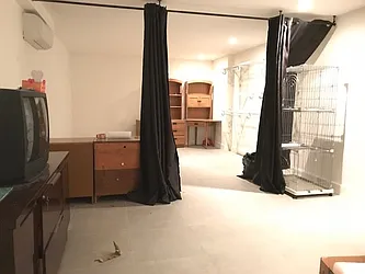 Rented by Simply Brooklyn Realty Inc