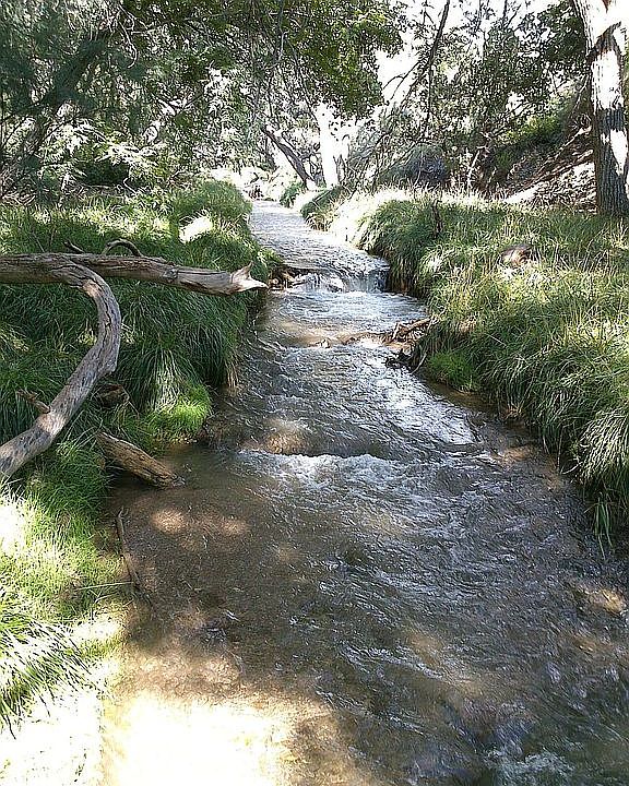 Tulie Creek (Live Water)