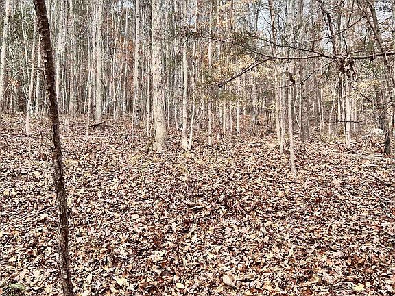 3rd image of 509 Crowe Creek Rd