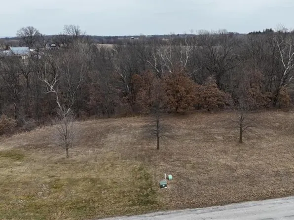 Lewis Ct, Lexington, MO 64067